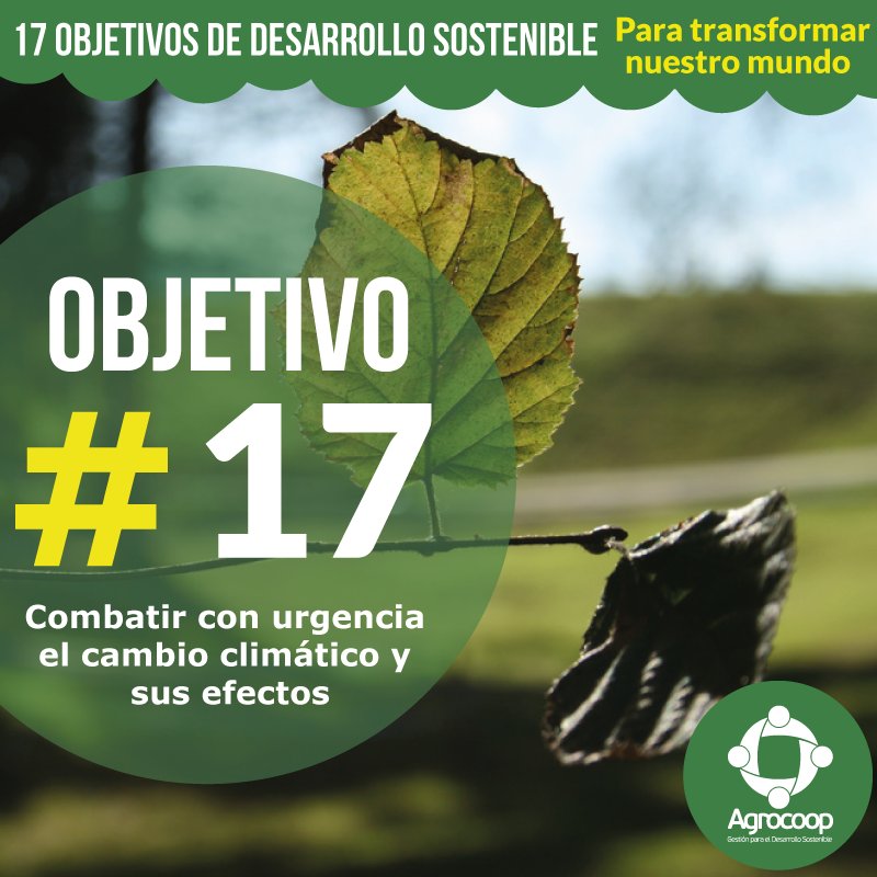 agrocoop_co's tweet photo. Aun no conoces los 17 Objetivos de Desarrollo Sostenible. ¡Conoce acerca de cada uno de ellos!. #DesarrolloSostenible https://t.co/lMX7Wkuahg