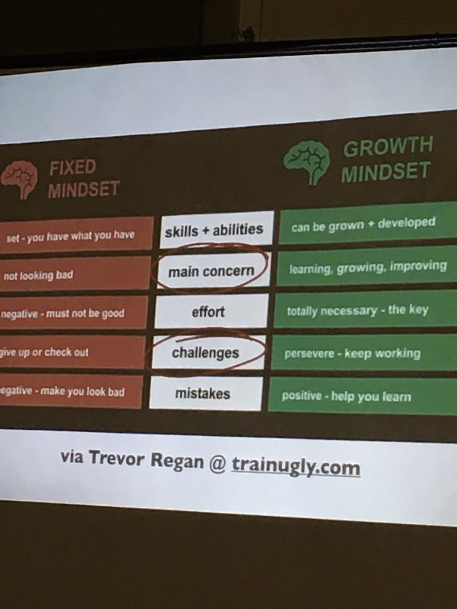 QynneKelly's tweet photo. WHICH ARE YOU? @jbormann3 @AmosHiatt #HiattPD #CTKSTAPD We cannot think of fixed v growth as a light switch๐ก#itecia #GrowthMindset https://t.co/woRyDZY3IS