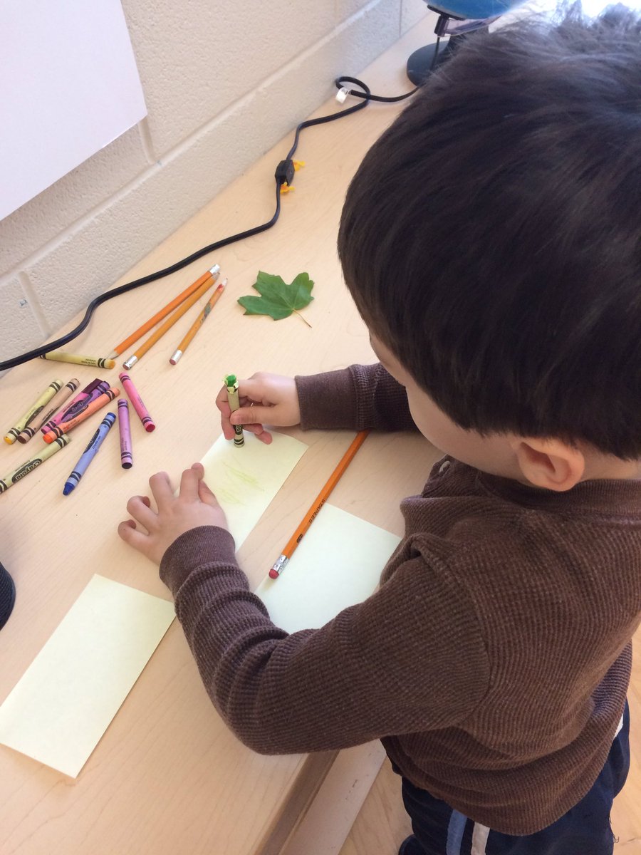 Kaitmcb1's tweet photo. "What will happen to the green leaf?" Students record their observations from week to week to help answer our question. https://t.co/vIC8vh8ARk