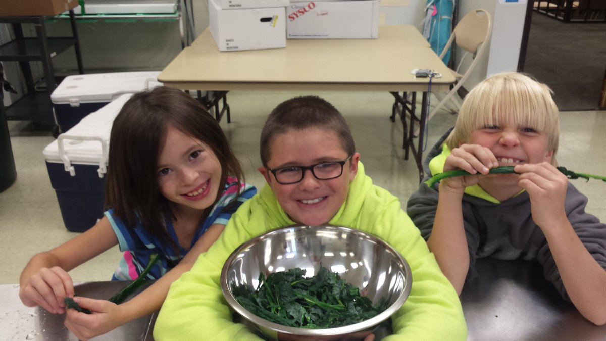 GrowwProgram's tweet photo. Fall kale salad! #3rdgrade made the #MTHarvestoftheMonth taste test with #schoolgarden kale! Yum! Thanks @BigDiehlsClass #growwprogram https://t.co/V8vUltRSzD