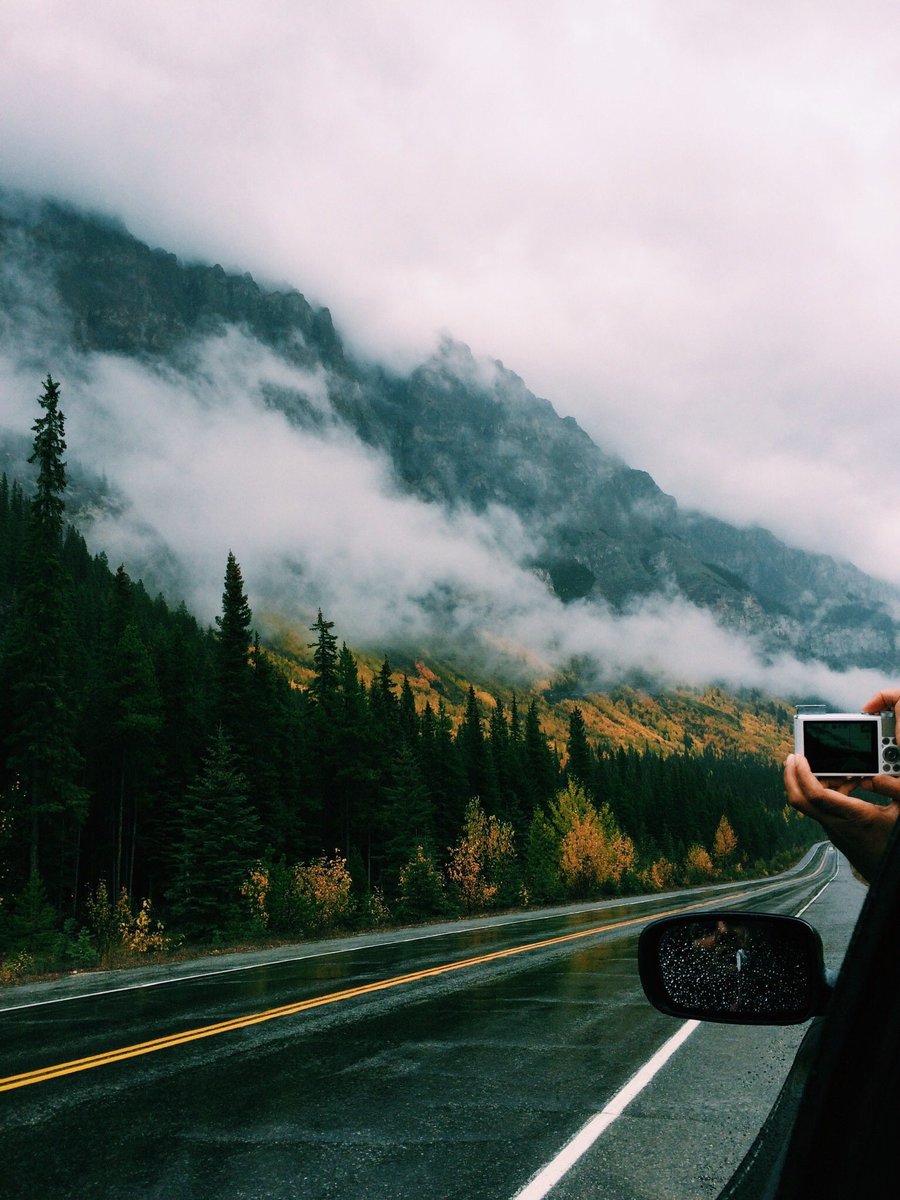 Traveling tweet media