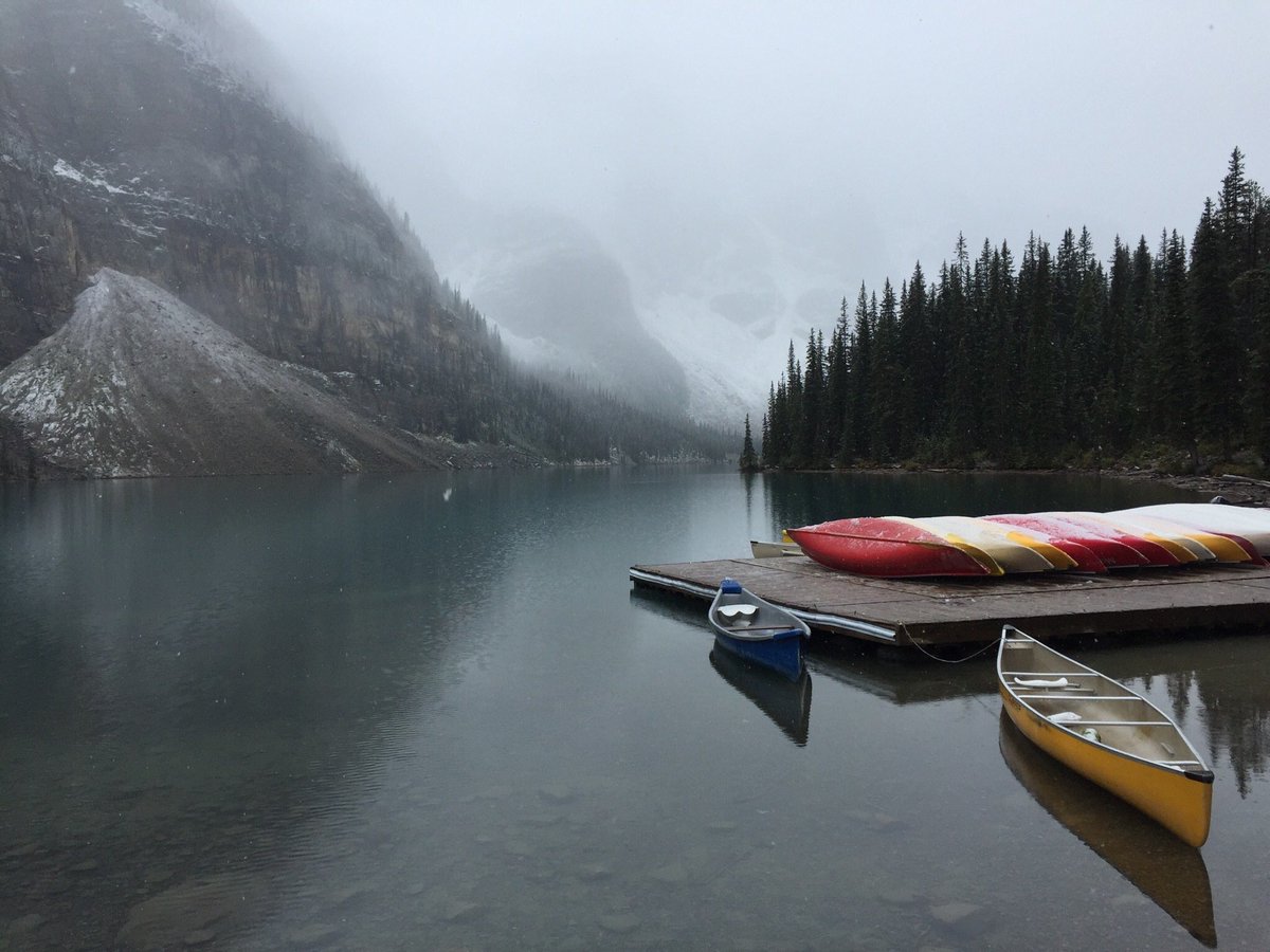 Traveling tweet media