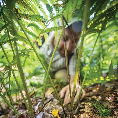 DelawareToday's tweet photo. How Chef MacGregor Mann (@JuntoBYOB owner; @BranRiverMuseum caterer) combs forests &amp; fields for culinary treasures: https://t.co/CA2hkx3sv4 https://t.co/FWkU6TQXlY
