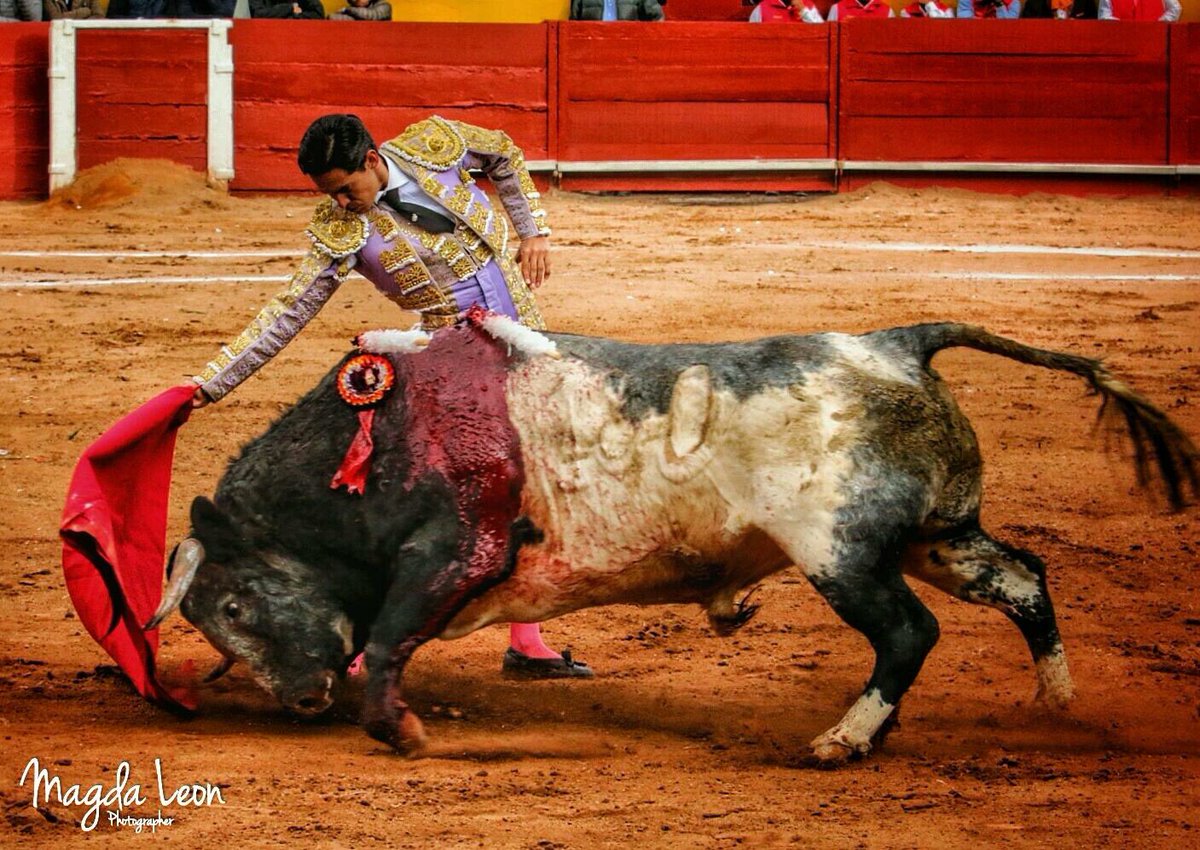Primer corrida de feria pachuca 2016. #sialosniñosenlostoros
