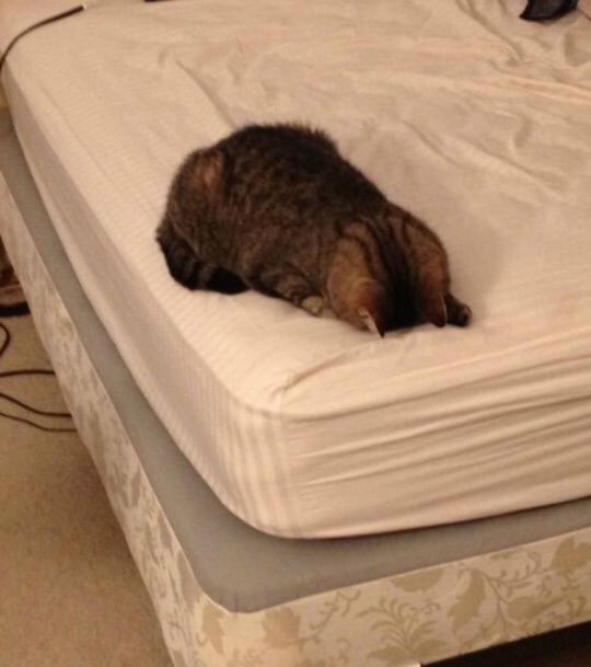 __Gabist's tweet photo. Yo ahora vs. Yo en diciembre https://t.co/OCJtIbuAHl