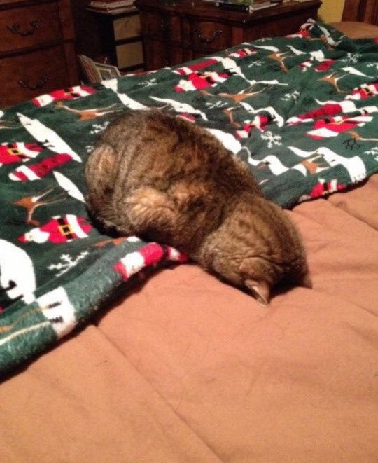 __Gabist's tweet photo. Yo ahora vs. Yo en diciembre https://t.co/OCJtIbuAHl