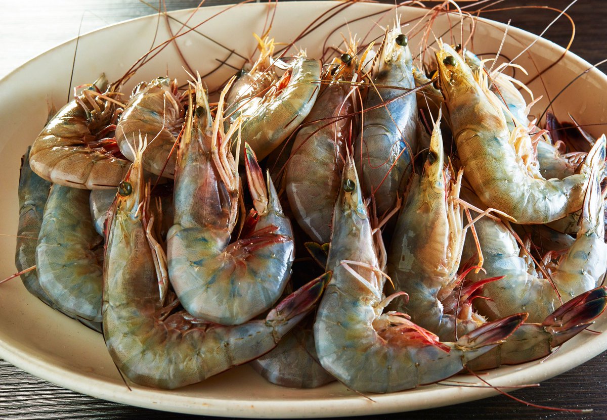 EatLocalNOLA's tweet photo. Check out the shrimp that just arrived fresh from the Gulf to @gwfins. Enjoy them tonight. #Boat2Table @AudubonGULF #FollowYourNOLA https://t.co/eV3Hp2qMiq