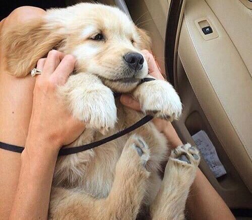 WeAreSexAndLove's tweet image. "amor verdadero" es encontrar lo que te hace absolutamente feliz