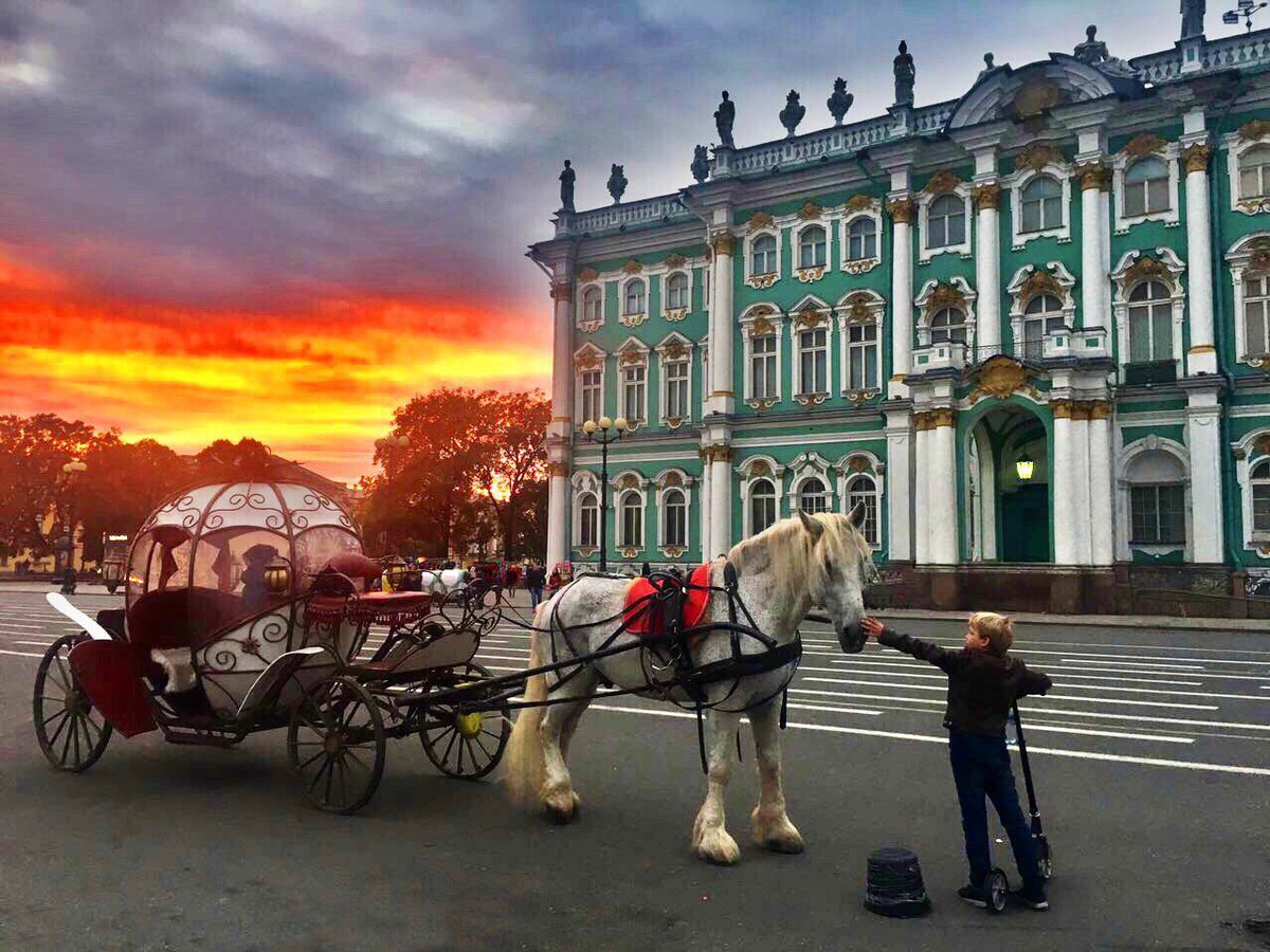 V Ia セントピーターズバーグ ロシア Dadapantherpink No154ri Via Novostispb