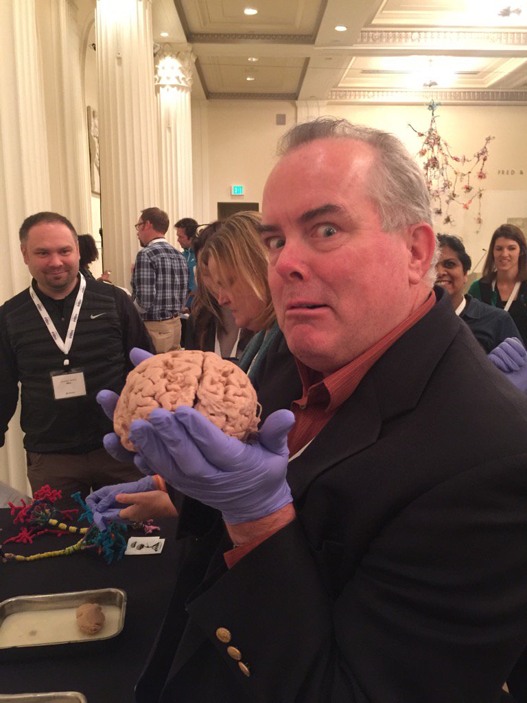 DeanWarman1's tweet photo. Brains anyone? #ChangeConnect4 https://t.co/Sto7UboLZ8