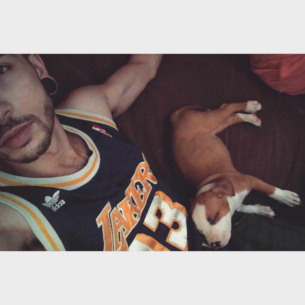 AdriMeedina's tweet photo. Algunos no habéis visto mi nueva cachorra, es una preciosidad!! https://t.co/CJKKqMDLSf