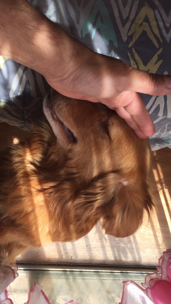 Amor verdadero y Piedad... terminos casi olvidados, pero no para ellos..!