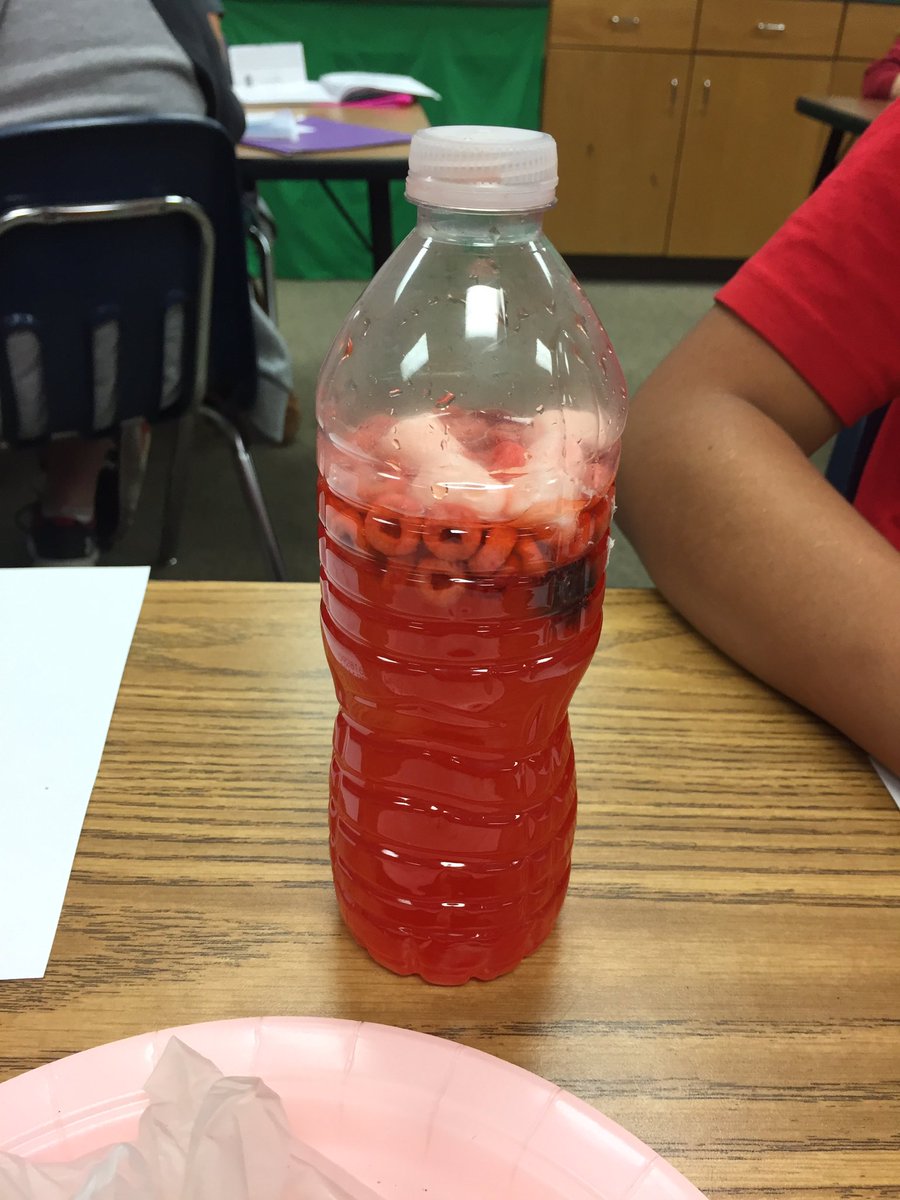 NMSpups's tweet photo. We had fun making a blood model today! Do you know the 4 components of blood? https://t.co/TADrmxTCLa
