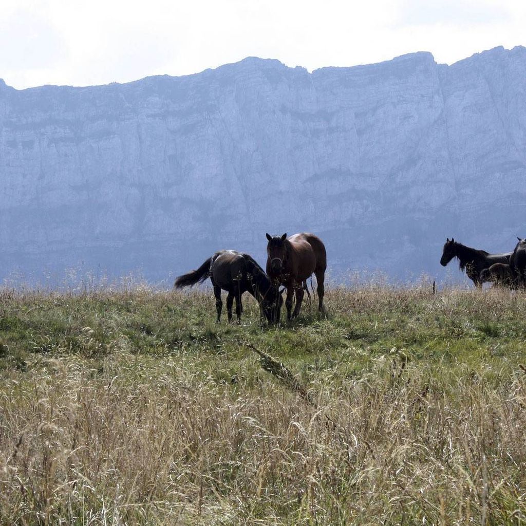 DragonPorter's tweet photo. Swiss  friendship💋 -Peaceful view  at Switzerland🐴. Everybody things that 💋Switzerland it … https://t.co/QYn1bE9XWy https://t.co/Jq7cXvkOjN