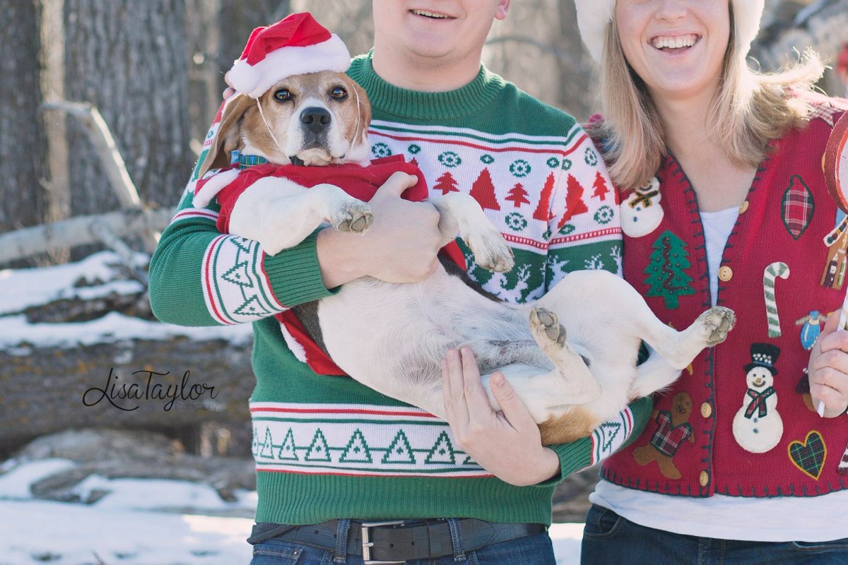 LisaTaylorr's tweet photo. Only TWO spots left for Christmas mini sessions in #Okotoks on Nov. 26th! https://t.co/zWQGl7m3g4