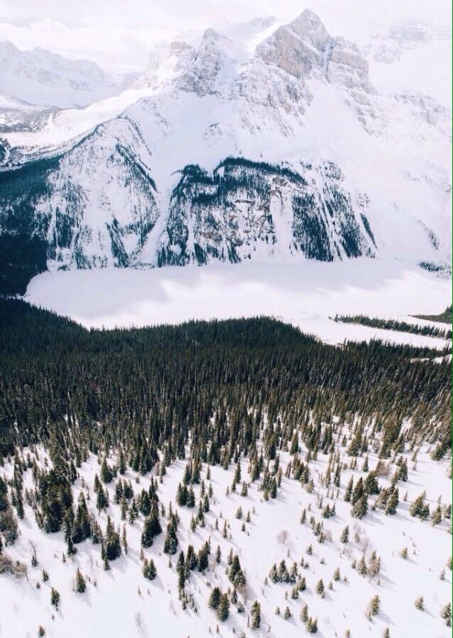 TikTonks's tweet image. Nowhere compares to the Pacific Northwest