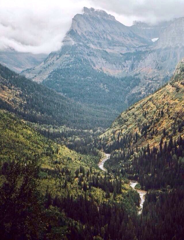 TikTonks's tweet image. Nowhere compares to the Pacific Northwest