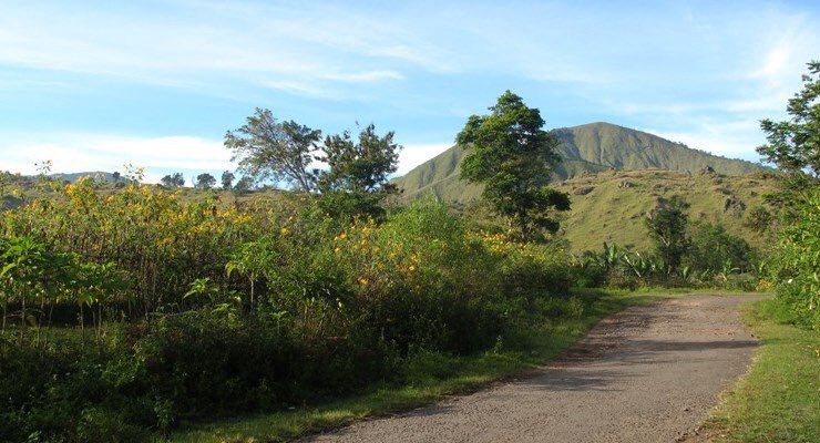 OktarianRendy's tweet photo. Min dimana itu? RT"@infobdg: Bandung Punya Padang Savana Mirip Di New Zealand https://t.co/G2XpBNb51c #wisataBDG https://t.co/rIzKpIqbrS"