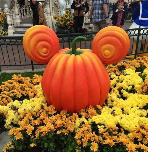 ChiIIVlbes's tweet photo. SOMEONE PLEASE TAKE ME TO DISNEY FOR HALLOWEEN 🎃🙏🏽👻 https://t.co/9CRLJIwgtt