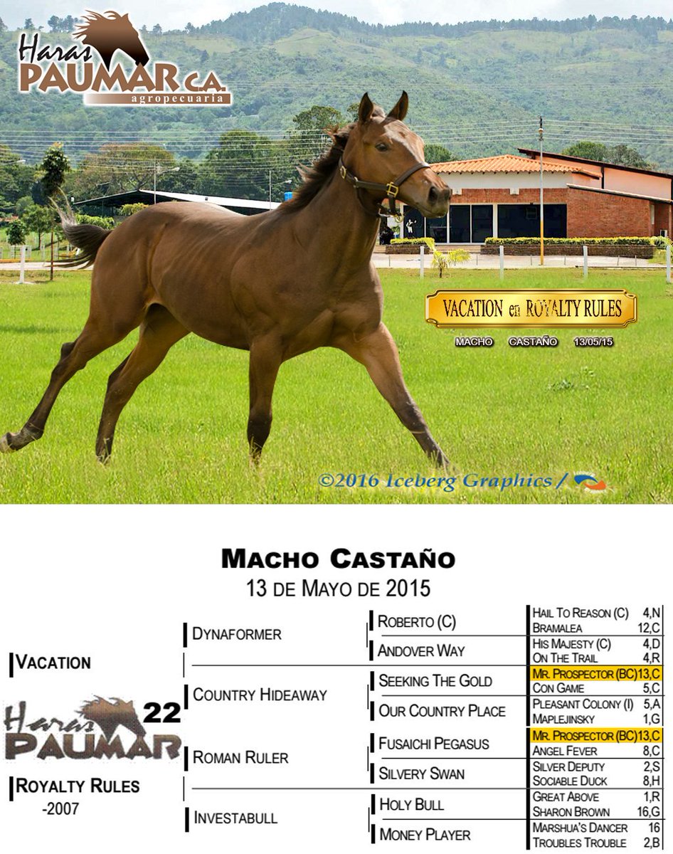 Barby_adt9's tweet photo. #Subastaesperada del 16 al 18 #VACATION en #ROYALTYRULES @Hloscaracaros @haraslossamanes @haraspaumar https://t.co/k0S4ON8C7U