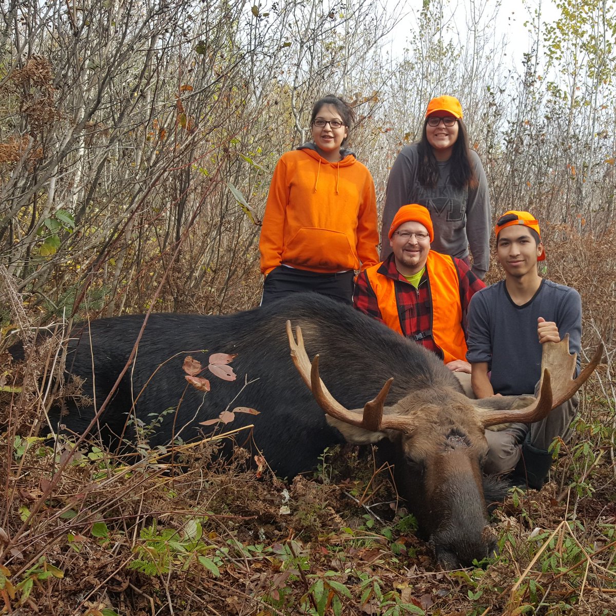 rainylakeangler's tweet photo. My sons first moose. Great times hunting with my family. #moose #moosehunting #northwesternontario https://t.co/V3P9r3s97d