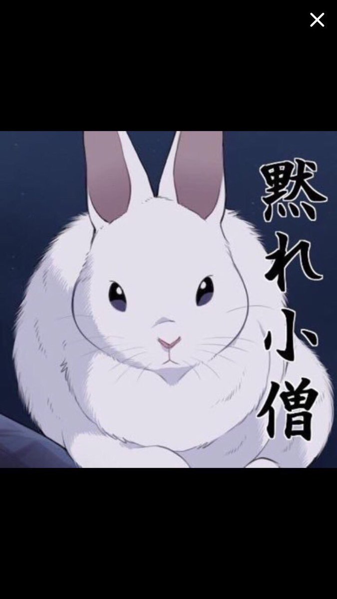 井口病院 単行本作業中 Sur Twitter かわいいっ サンは救えないけどうさぎはしあわせにしたいです