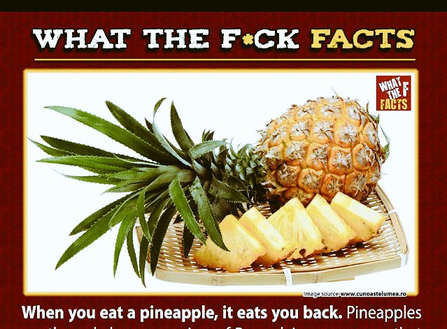 jbling17's tweet photo. I want love like a pineapple https://t.co/y6lq8SyM2C
