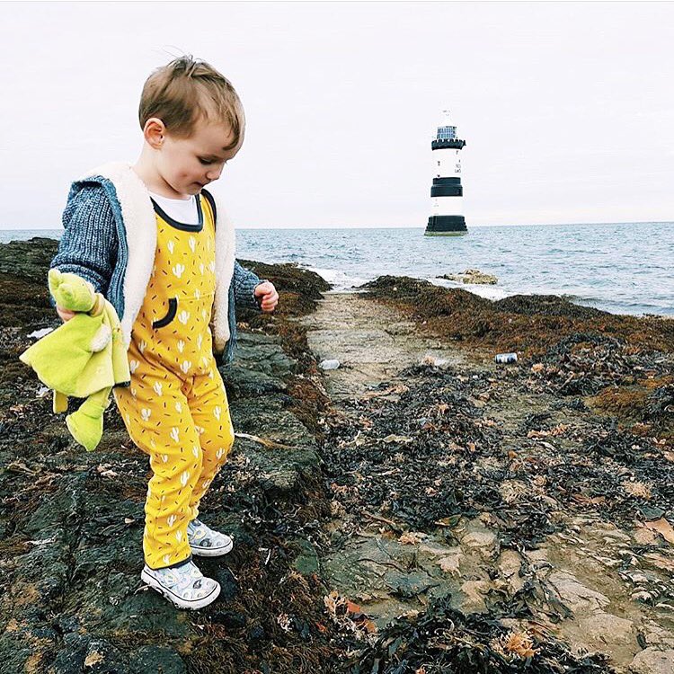 eversew's tweet photo. New adventures are on their way for us!
There are also some big kid rompers still available on our website in the sale #50percentoff https://t.co/VAyUoynaop