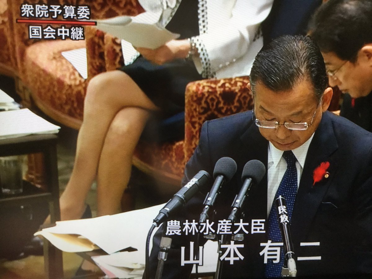 稲田 朋美 スカート