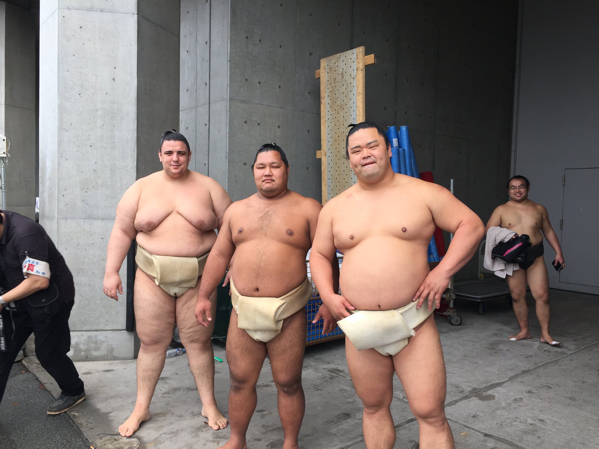 сосновый сумотори