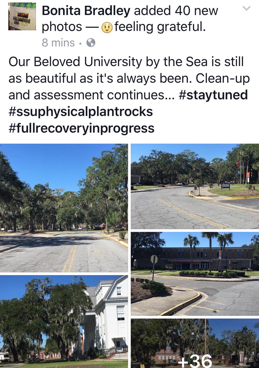perfectGApeach's tweet photo. Go to my FB page for all photos of campus post Matthew. #SSUstrong https://t.co/votxTWTmK8
