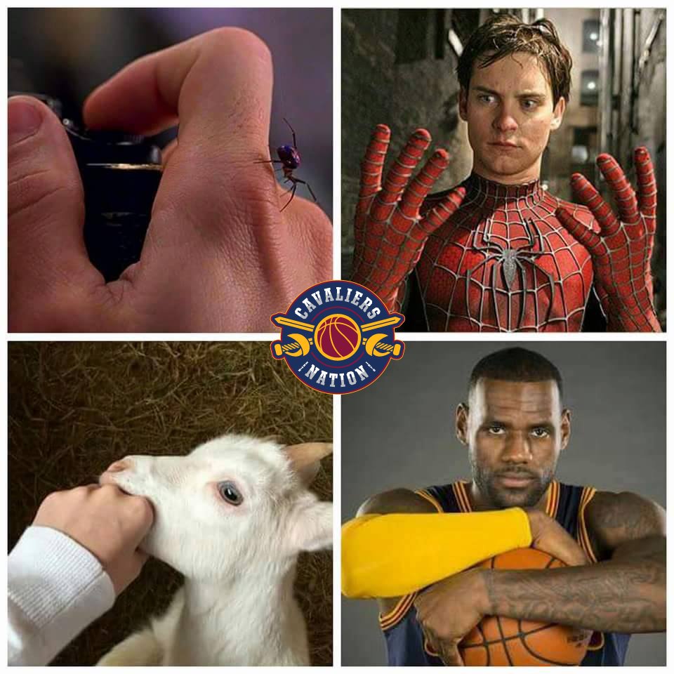 WORLDSTAR's tweet photo. It all makes sense now... https://t.co/ADMJ0tCEaz