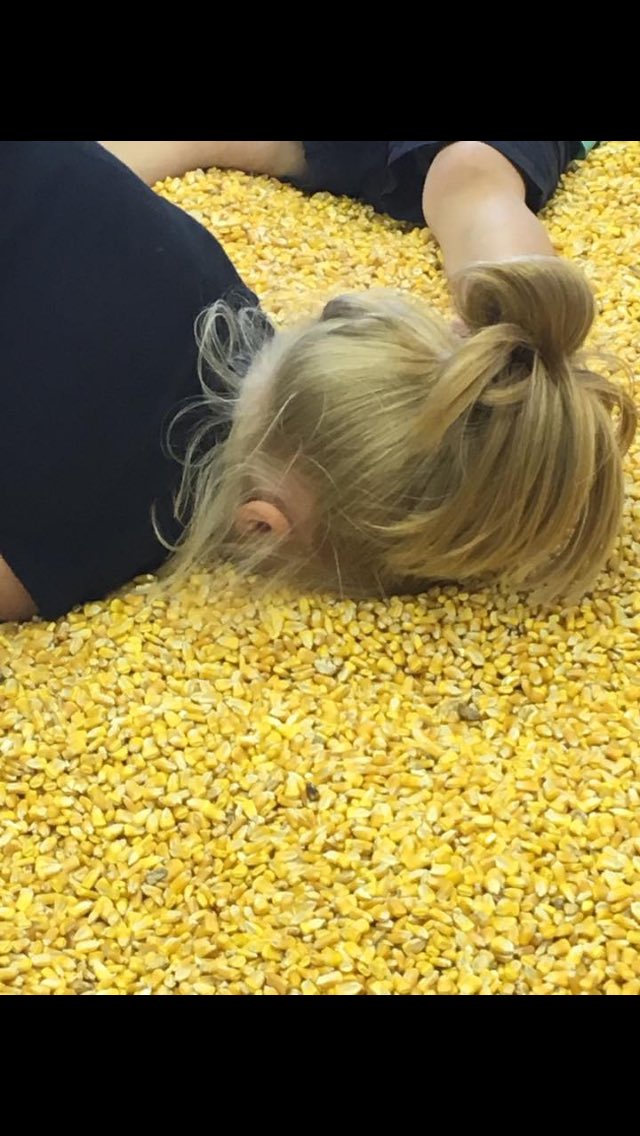jodiedv2013's tweet photo. Me thinking about my list of "To do's"  for tomorrow.... 🌽 https://t.co/jimw8DyJQl