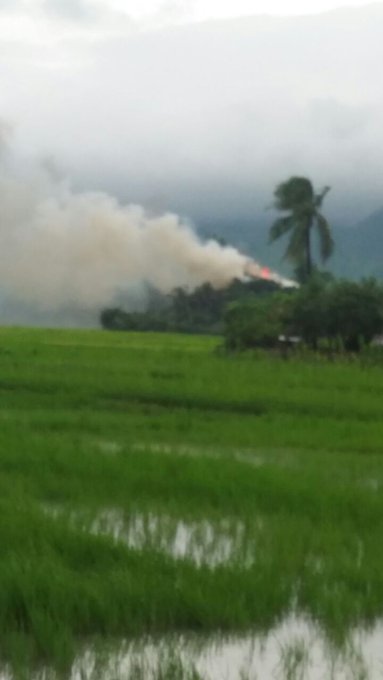 View image on Twitter