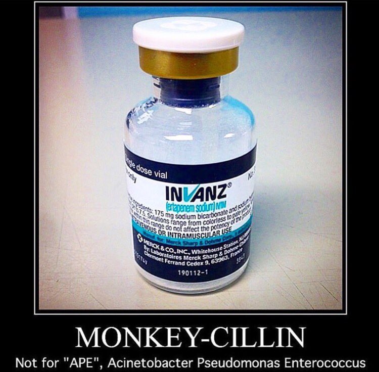 IDstewardship's tweet photo. Ertapenem, we may call it 🐒 monkey-cillin but, don't take it for granted! 📲 https://t.co/gn2pPPa4fH #Ertapenem #Invanz #ESBL #IDstewardship https://t.co/aA8IqH4nt2
