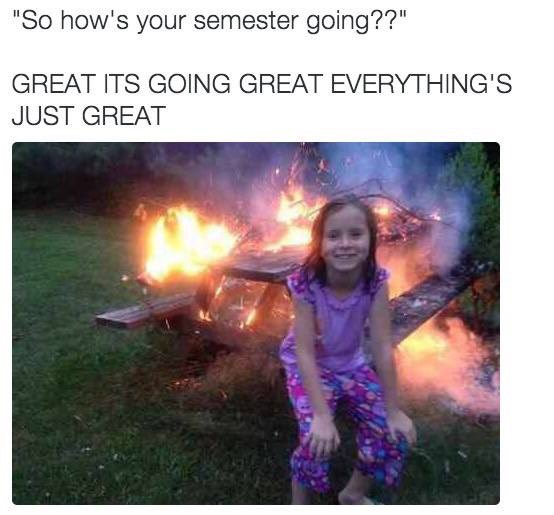Halfway through the semester!

<a href="/COMDucks/">College Of The Mainland</a>