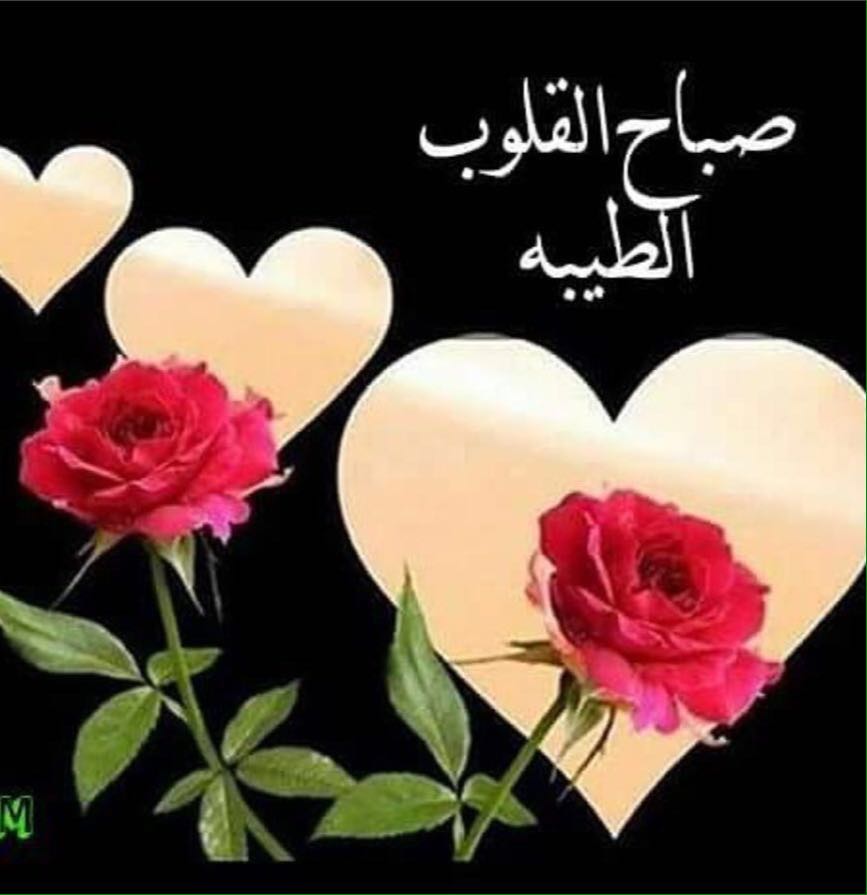 salimmusharfi's tweet photo. https://t.co/lgPJP1LbSI