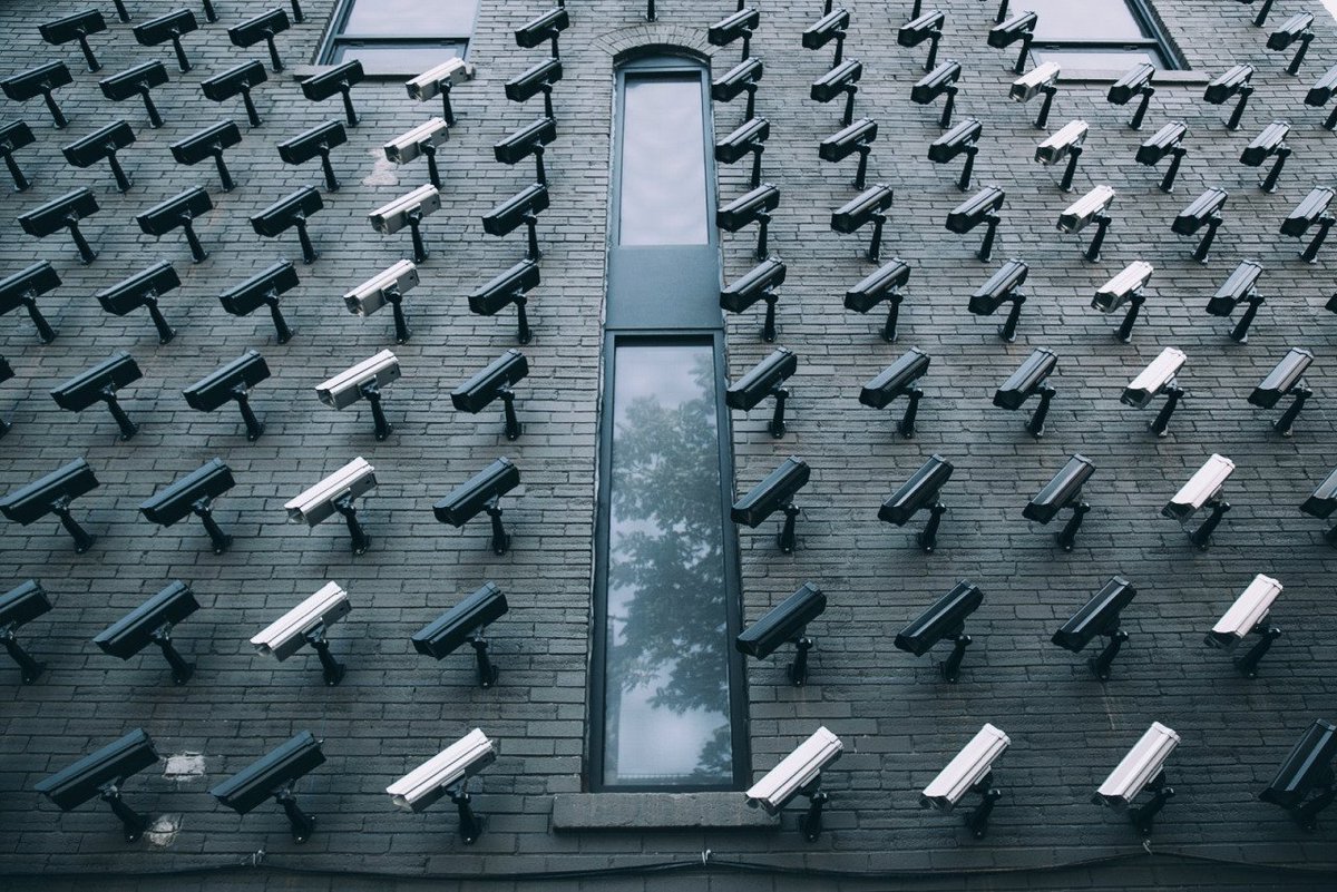 archillect's tweet image. 