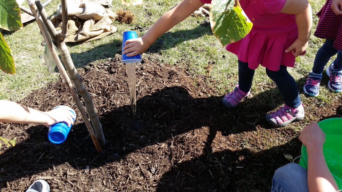 heffnerk's tweet photo. How do you plant a tree with 100 five year olds?
1 cup of water at a time. https://t.co/K7PDaNW5t5