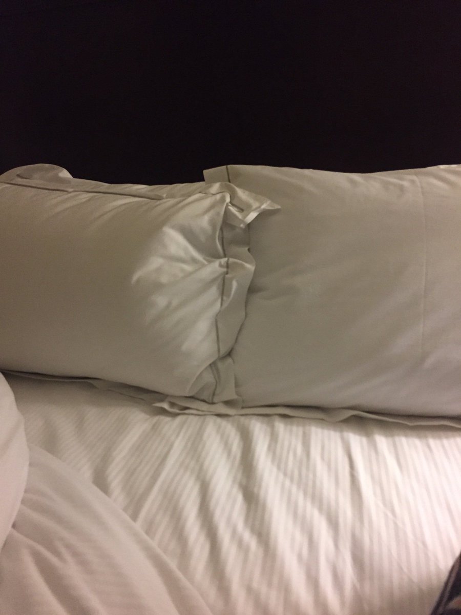 normamacys's tweet photo. Really comfy pillows indeed! #txsummit16 #lifesbetter - https://t.co/no4Qbhkoed https://t.co/cmggto1XBF