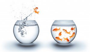 Businessary_au's tweet photo. We're #hiring! Looking for #HRspecialists. Particularly #flexible #parttime #contract #candidates. #mustloveorange 

https://t.co/gJm8R2tzlV https://t.co/d1mPbQtWr5