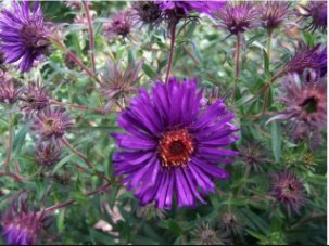 QuestionDeJour's tweet image. If you took off your social mask, what would be revealed? The real you? Who is that?