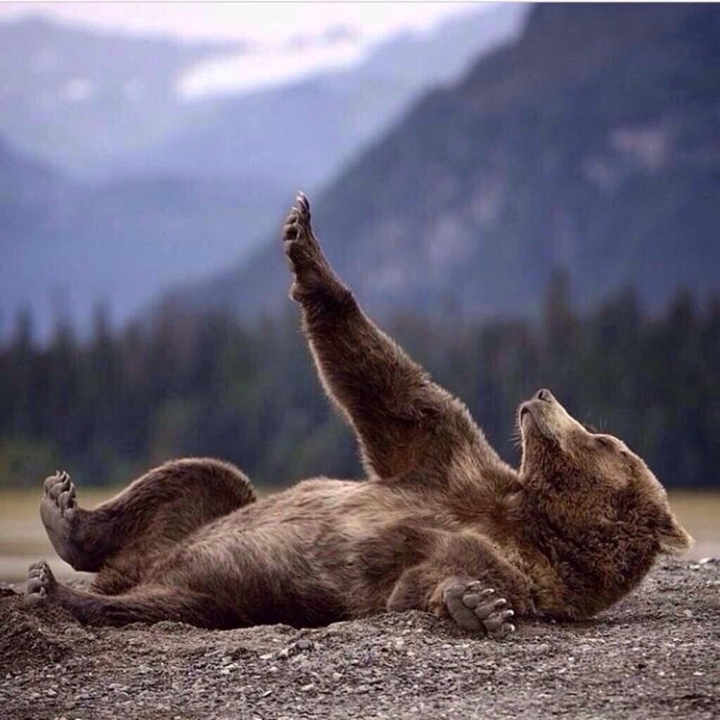 لا ترش بقوووم 😂😂😂😂😂😂