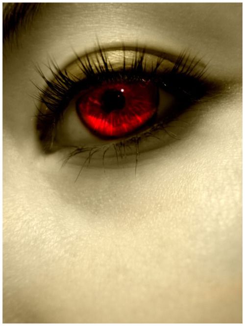 BloodandBlue's tweet image. You cannot change what you were born as... But you can decide who you are when you die.