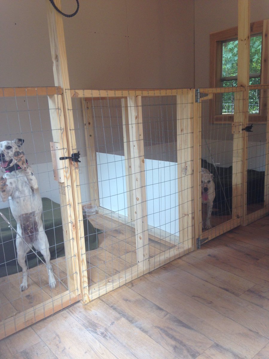 ❤️BlueSquadRescue❤️ tweet media