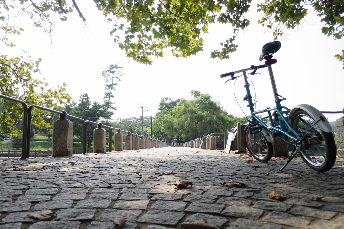 h164kom's tweet photo. 体育の日 ポタリング
#10th_October #体育の日
#pottering #ポタリング #ポタ
#foldingbike https://t.co/KUgPrw3ydz