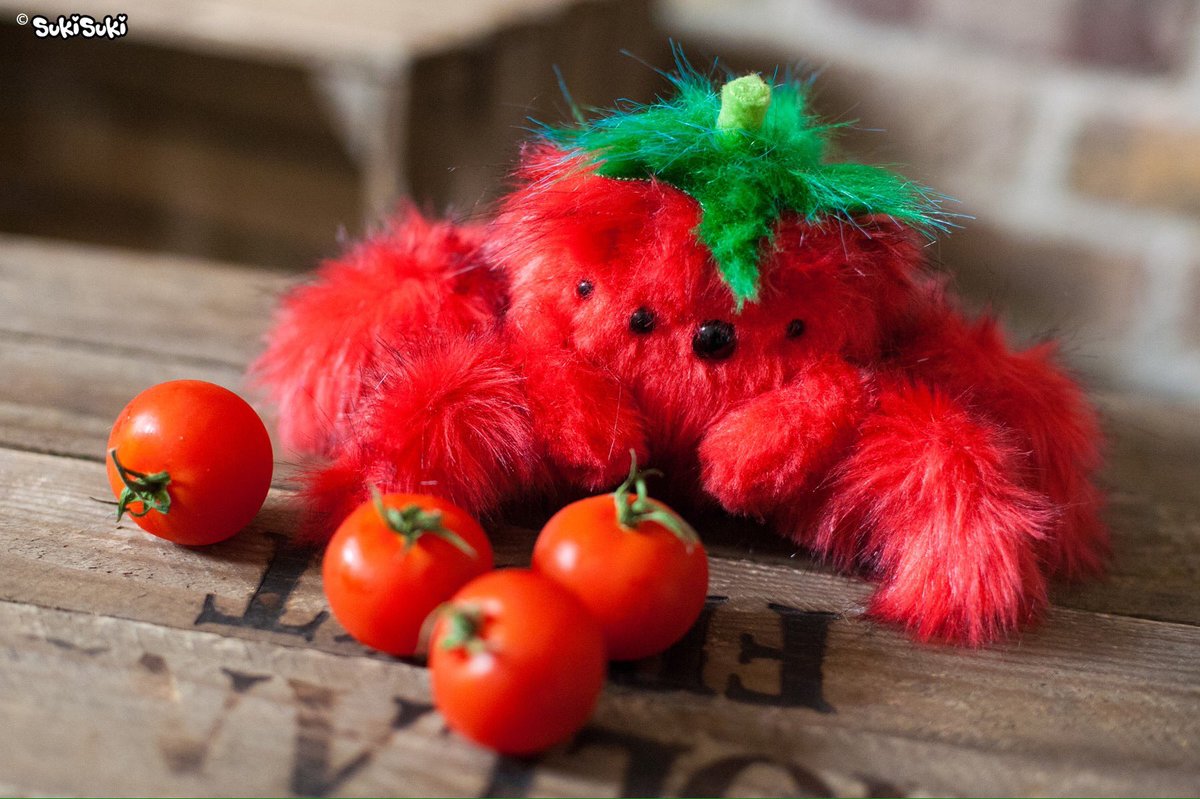 Spidato, the Tomato Spider! #spiderplush #spider #fiberart #softsculpture #plush #handmade #jumpingspider #handmadeplush