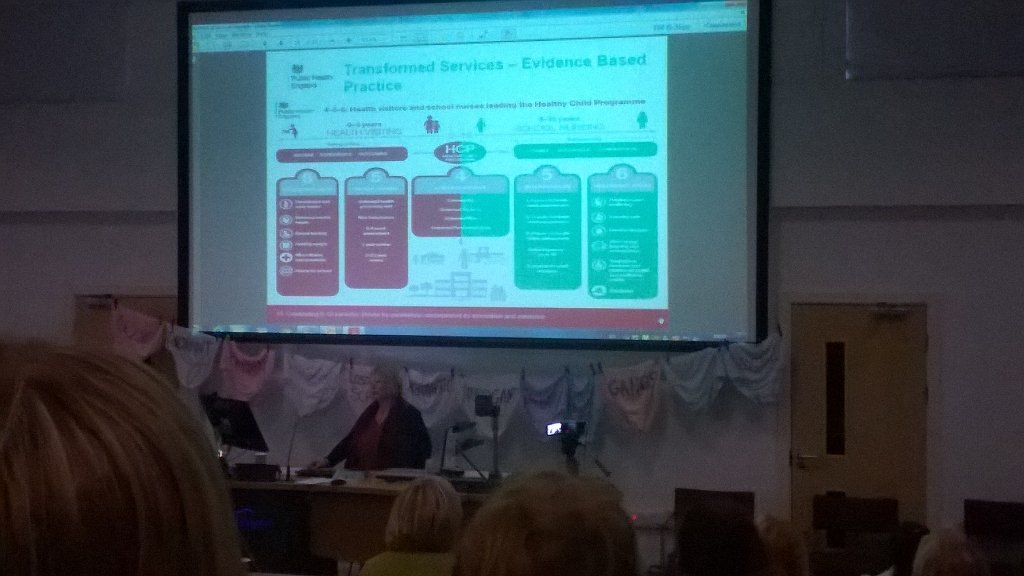 #SCHTschoolnurses amazing speech from Wendy Nicholson  at the SAPHNA conference