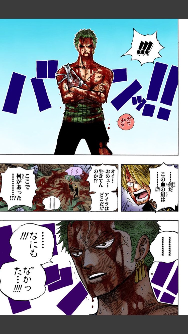 奈乃 ゾロサン最高過ぎてつらいわもう ゾロは誰よりも一味全員のことをちゃんと考えてるんだなぁって思うよね もちろんみんなそうなんだけどね笑 無茶するゾロだけじゃなくてルフィのことも気遣うサンジくんもほんと素敵 やっぱ ここは名