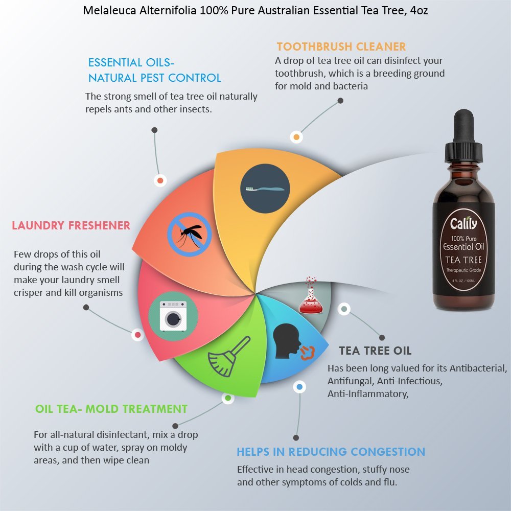 CalilyLife's tweet photo. Some of the many uses of tea tree oil #teatreeoil #essentialoils #melaleuca #naturalliving
https://t.co/NMVQapIsIP https://t.co/KgejGWvDfL